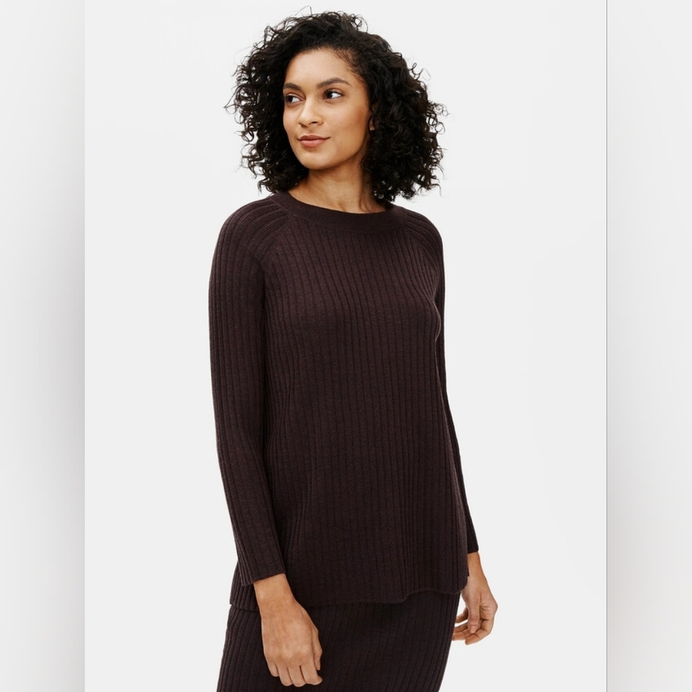 Eileen Fisher Merino Crew Neck Top in Regenerative Wool Top Medium